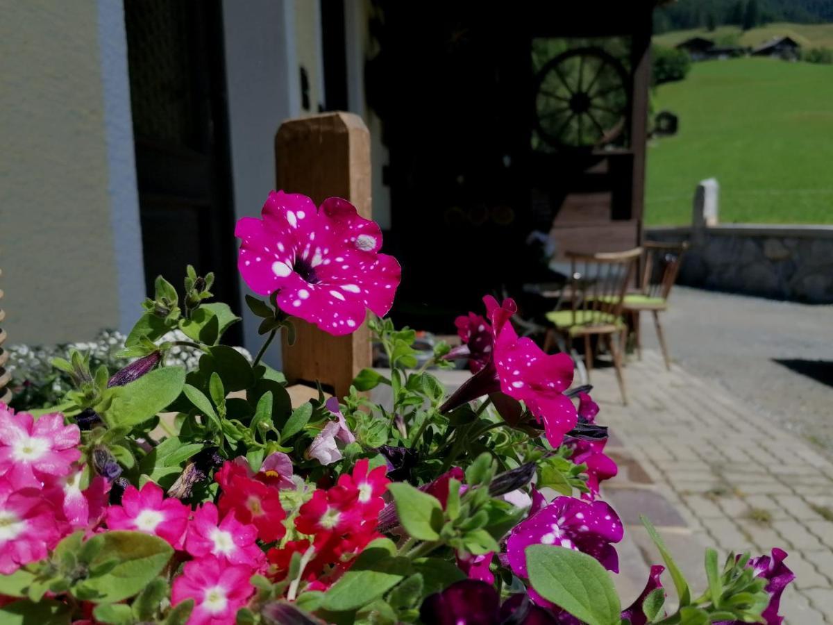Ferienwohnung Oberkofler Mittersill Esterno foto